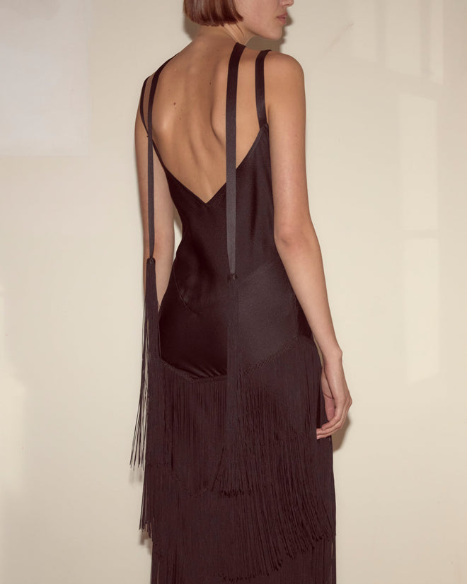Tango Fringe Dress